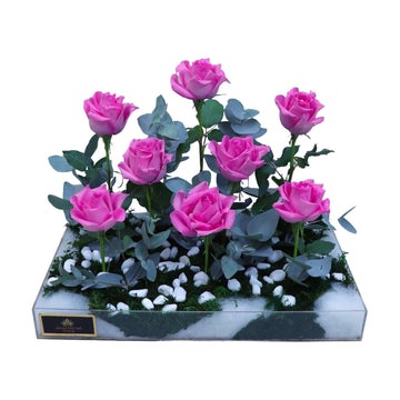 DESIGN 538
